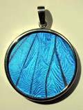 Shimmerwing Pendants Blue Morpho Butterfly Large